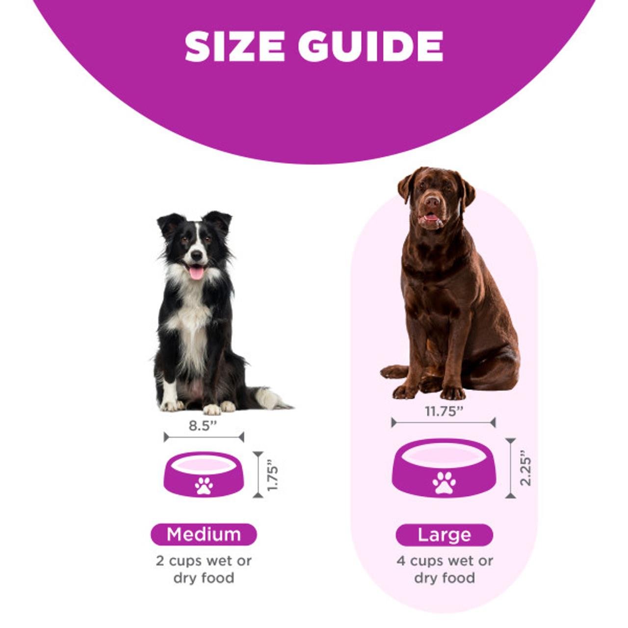 Outward Hound Yavaş Yeme Mama Kapları