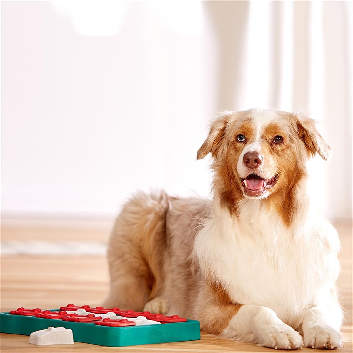 Outward Hound X Nina Ottosson Dog Smart Interactive Treat Puzzle Köpek Oyuncağı