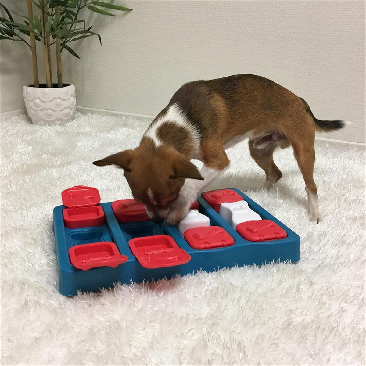Outward Hound X Nina Ottosson Dog Smart Interactive Treat Puzzle Köpek Oyuncağı