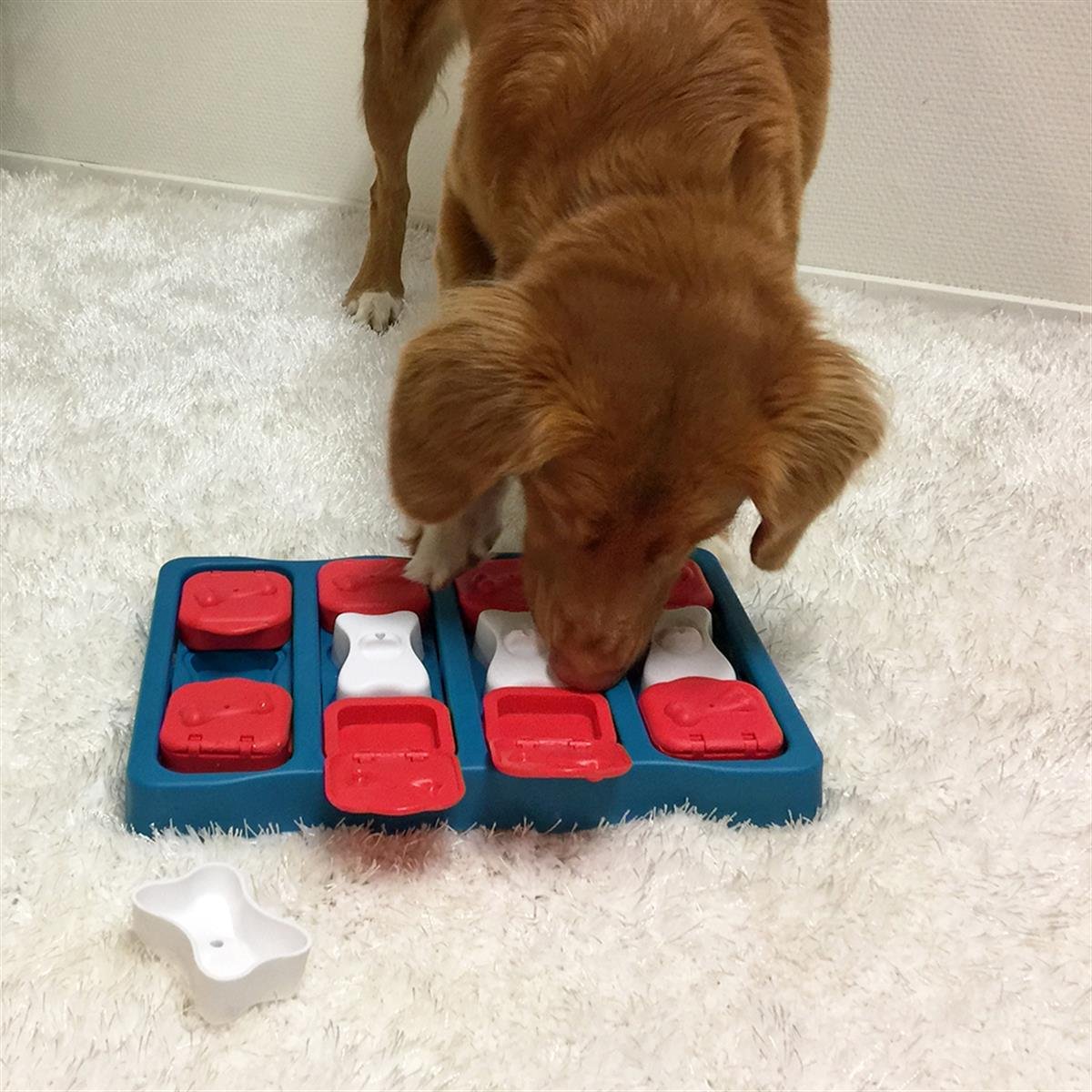 Outward Hound X Nina Ottosson Dog Smart Interactive Treat Puzzle Köpek Oyuncağı
