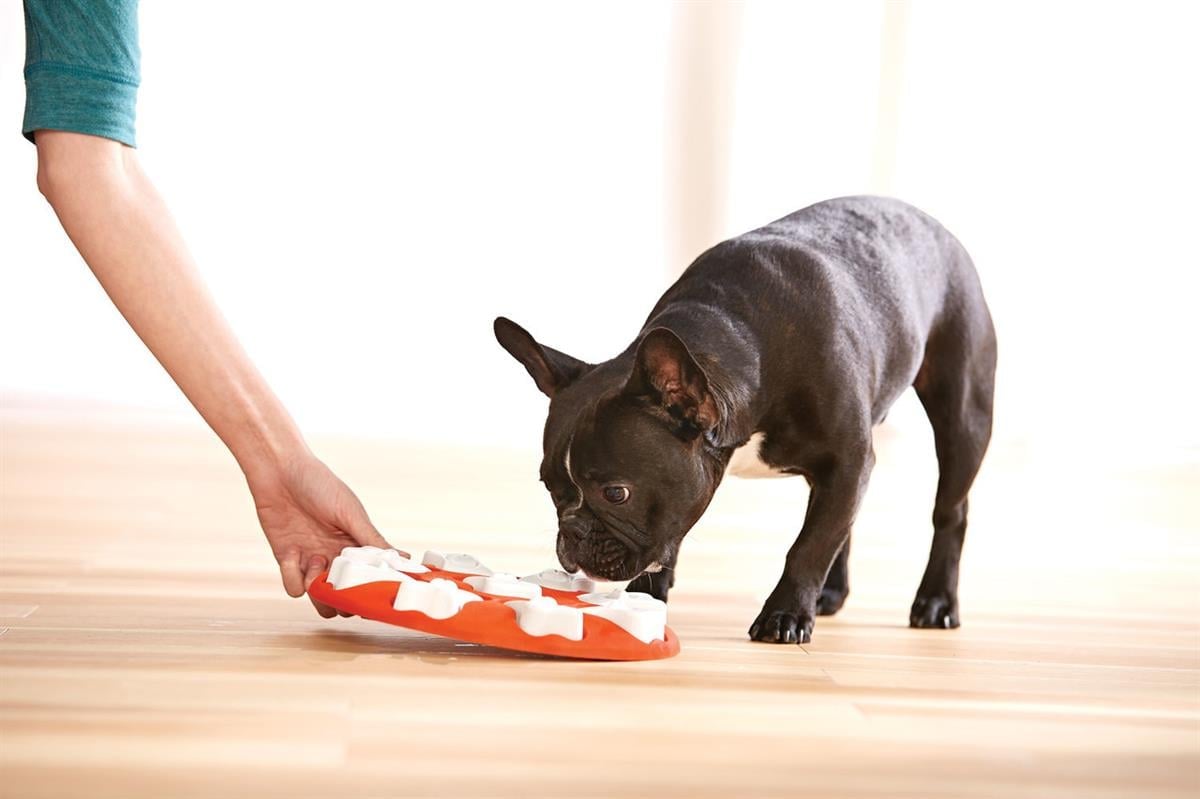 Outward Hound X Nina Ottosson Dog Smart Interactive Treat Puzzle Köpek Oyuncağı