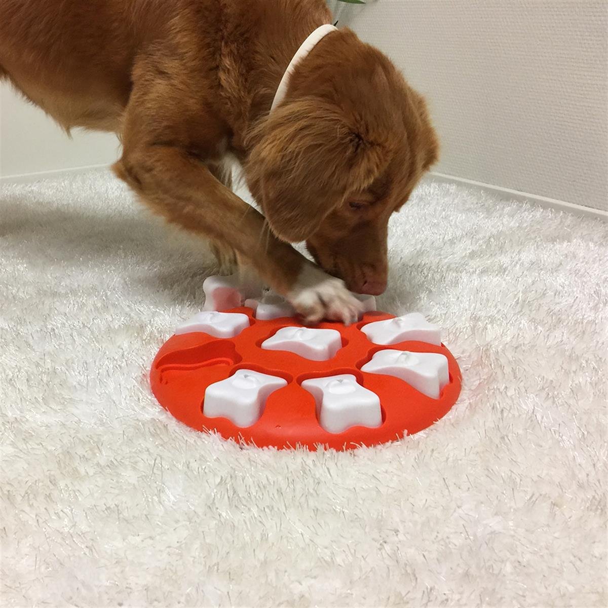 Outward Hound X Nina Ottosson Dog Smart Interactive Treat Puzzle Köpek Oyuncağı
