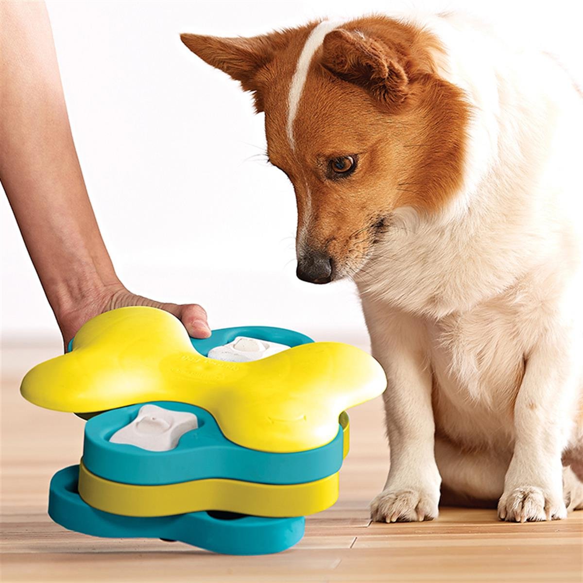 Outward Hound Dog Tornado Interactive Treat Puzzle Köpek Oyuncağı