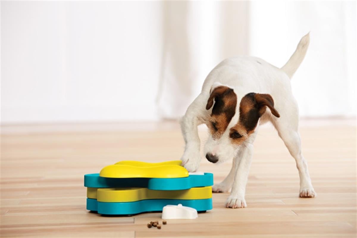 Outward Hound Dog Tornado Interactive Treat Puzzle Köpek Oyuncağı