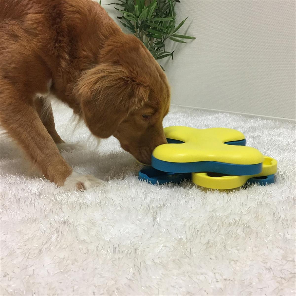 Outward Hound Dog Tornado Interactive Treat Puzzle Köpek Oyuncağı