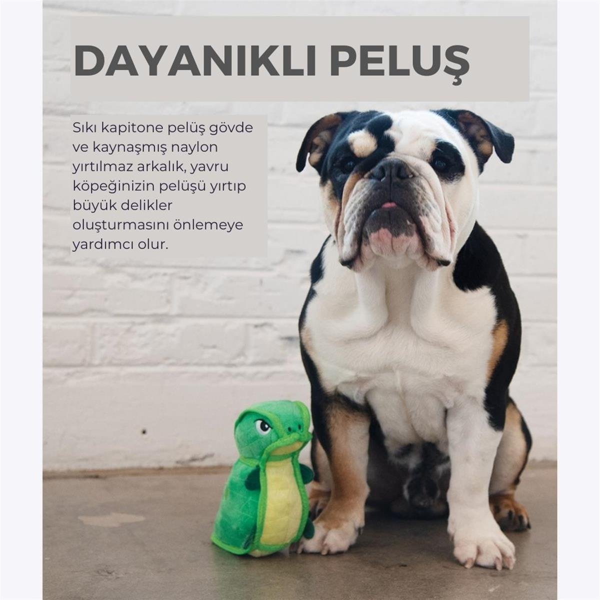 Outward Hound Köpek Oyuncakları