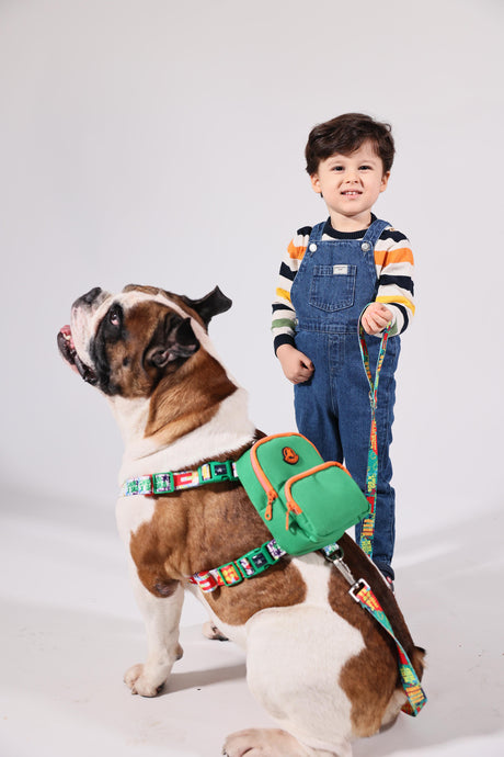 Pawlook Dog Harness Backpack