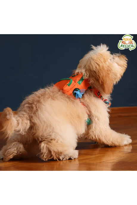 Pawlook Dog Harness Backpack