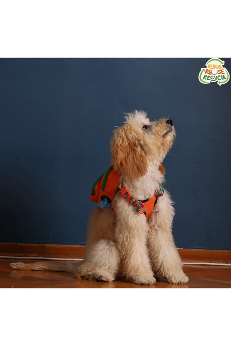 Pawlook Dog Harness Backpack