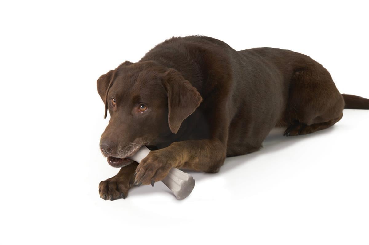 Petstages Deerhorn Antler Alternative Dog Chew Toy Köpek Çiğneme Oyuncağı