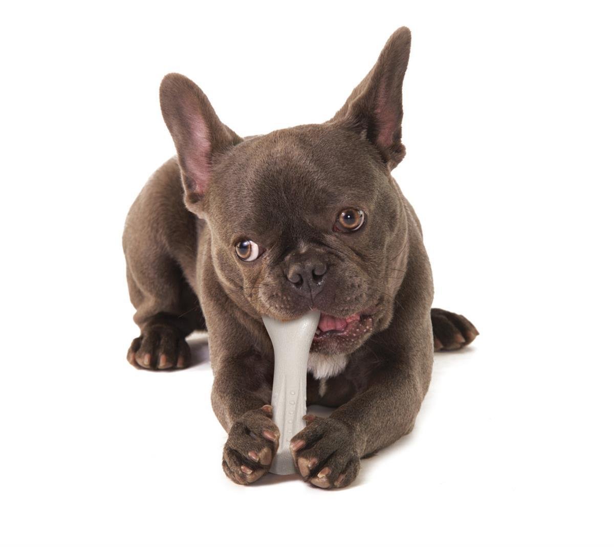 Petstages Deerhorn Antler Alternative Dog Chew Toy Köpek Çiğneme Oyuncağı