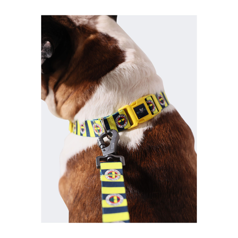 Lisanslı Fenerbahçe Köpek Koleksiyonu