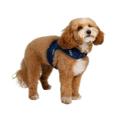 GAP Köpek Göğüs Tasması