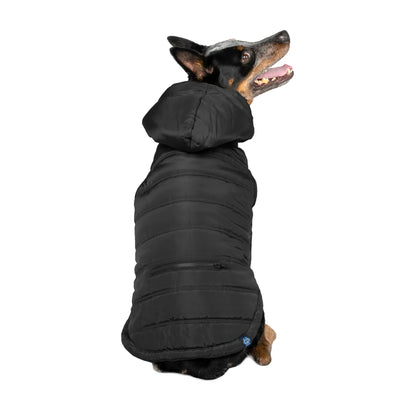 GAP Köpek Kapşonlu Ceket