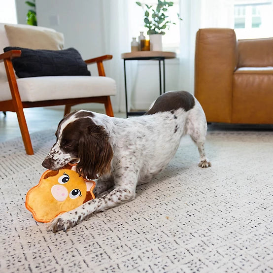 Outward Hound Tough Skinz Sert & Ekstra Dayanıklı Köpek Oyuncakları