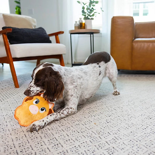 Outward Hound Tough Skinz Sert & Ekstra Dayanıklı Köpek Oyuncakları