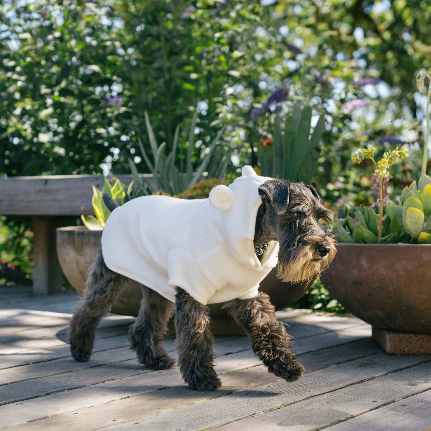 GAP Sherpa Ayı Kulaklı Kapüşonlu Sweatshirt