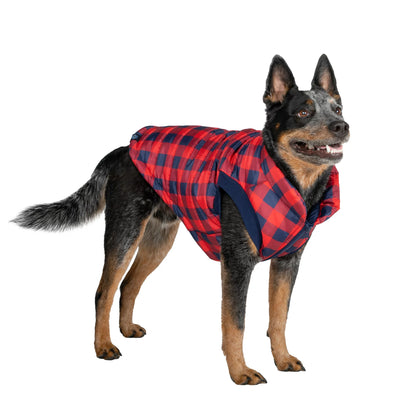 GAP Dog Puff Jacket