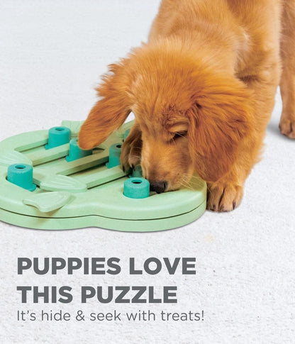 Outward Hound Hide’n Slide Zihin Egzersiz Oyuncağı