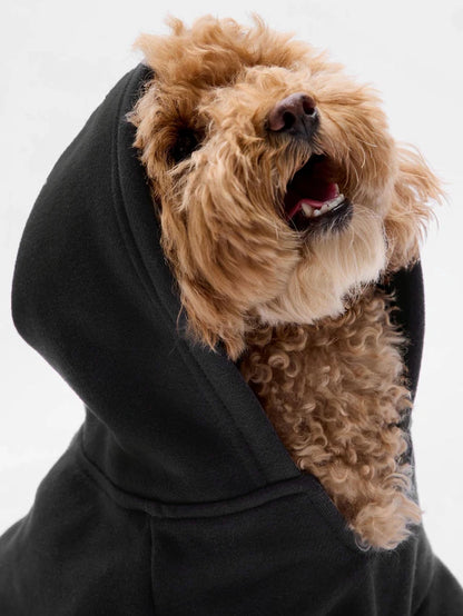 GAP Dog Hoodie Blue 
