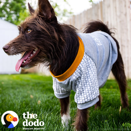 The Dodo Hoodie