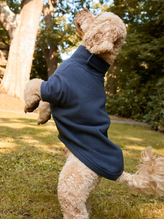 Polar Köpek Kıyafeti