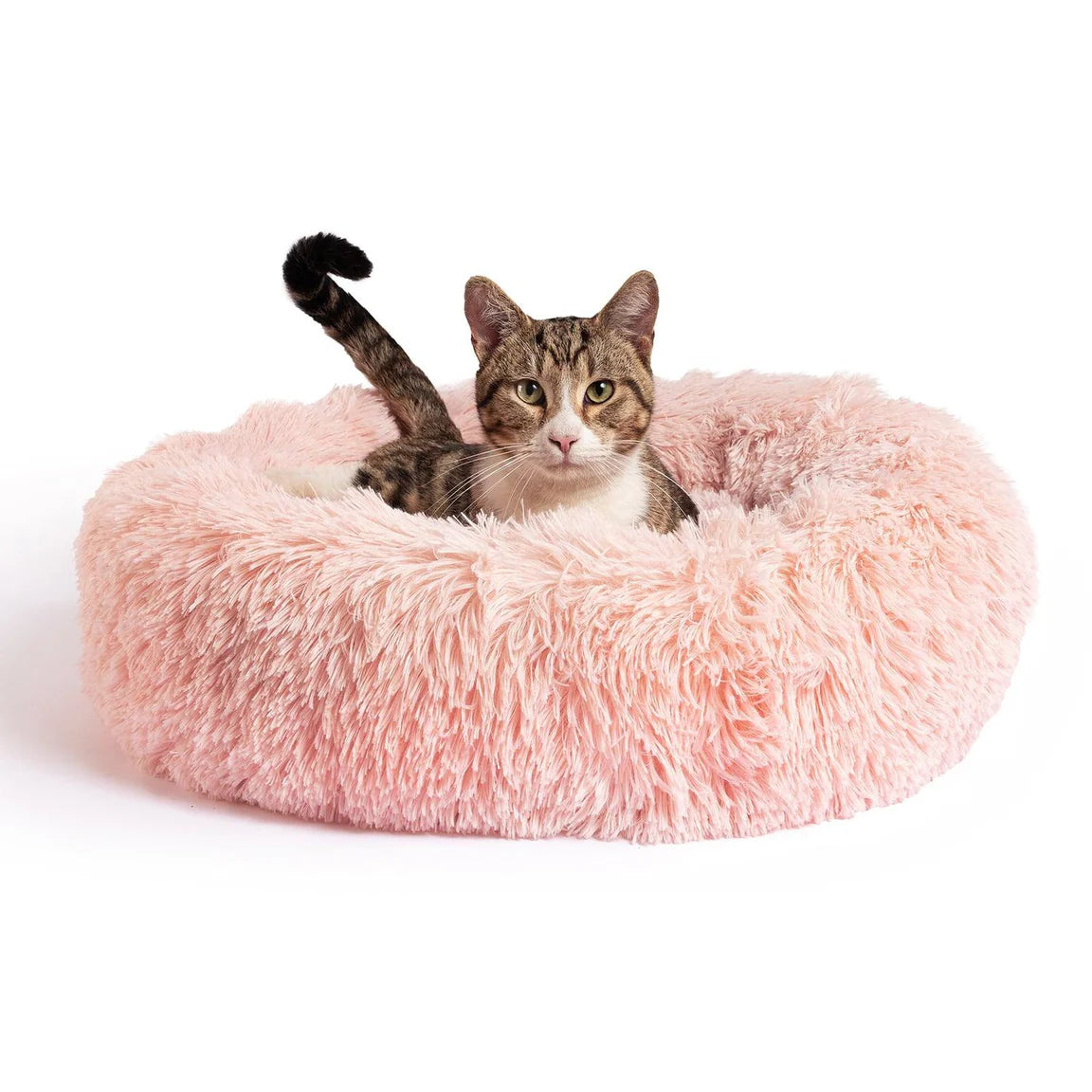 Donut Shag Frost Köpek Yatağı