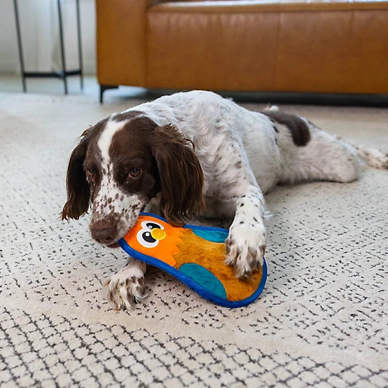 Outward Hound Tough Skinz Sert & Ekstra Dayanıklı Köpek Oyuncakları