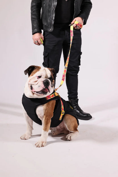 Pawlook Design Göğüs Tasmalı Köpek Montu