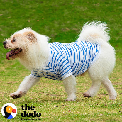 the Dodo Bisiklet Yaka T-Shirt