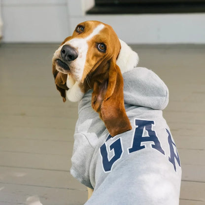 GAP Dog Hoodie Blue 
