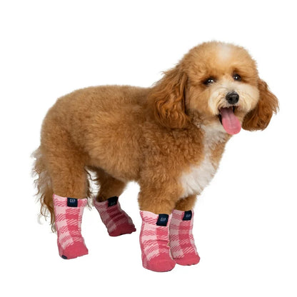 GAP Dog Socks