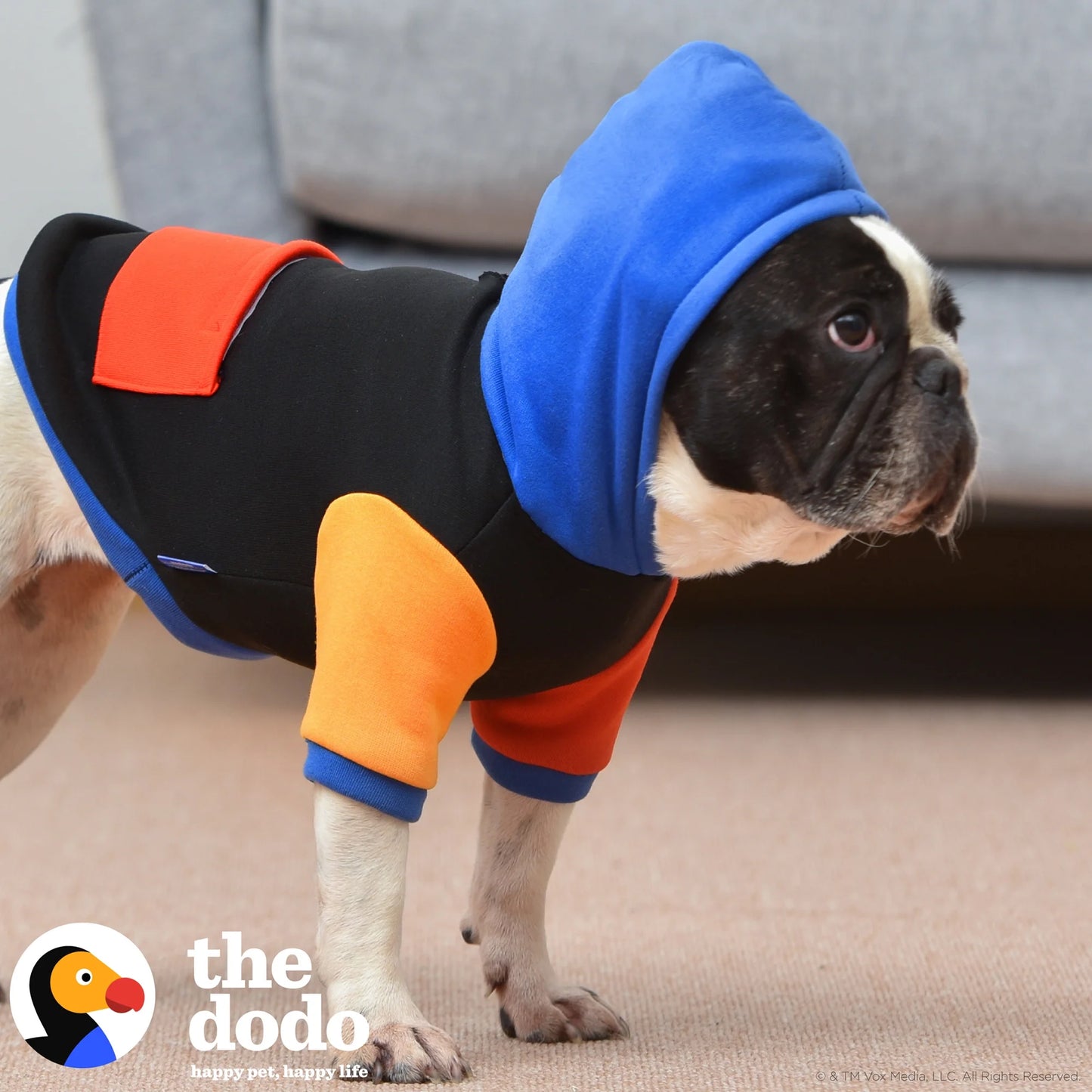 The Dodo Hoodie