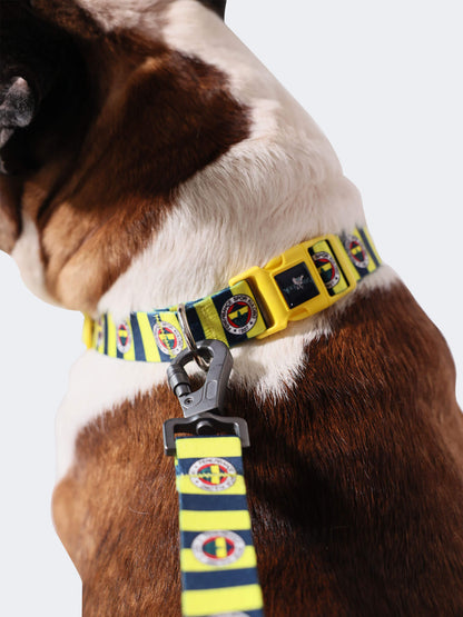 Fenerbahçe Lisanslı & Logolu Köpek Boyun Tasması