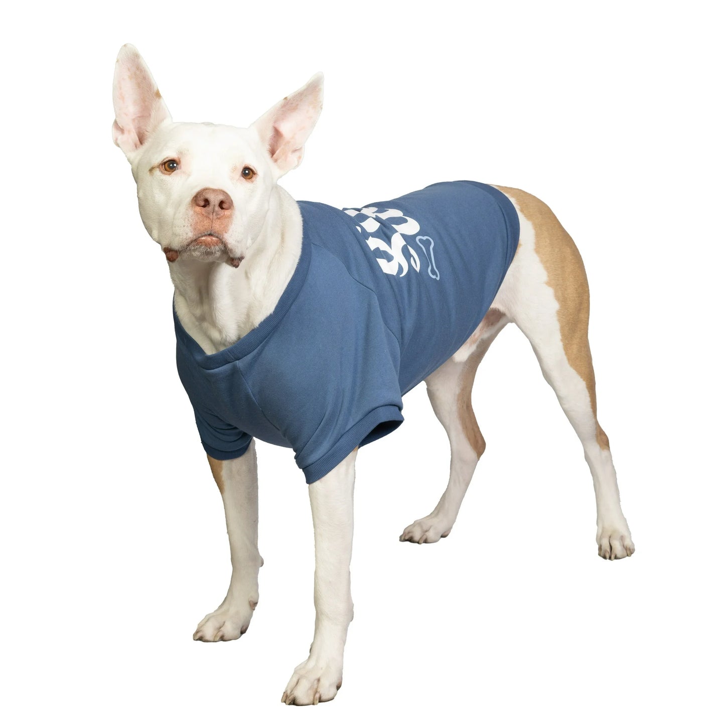the Dodo Bisiklet Yaka T-Shirt