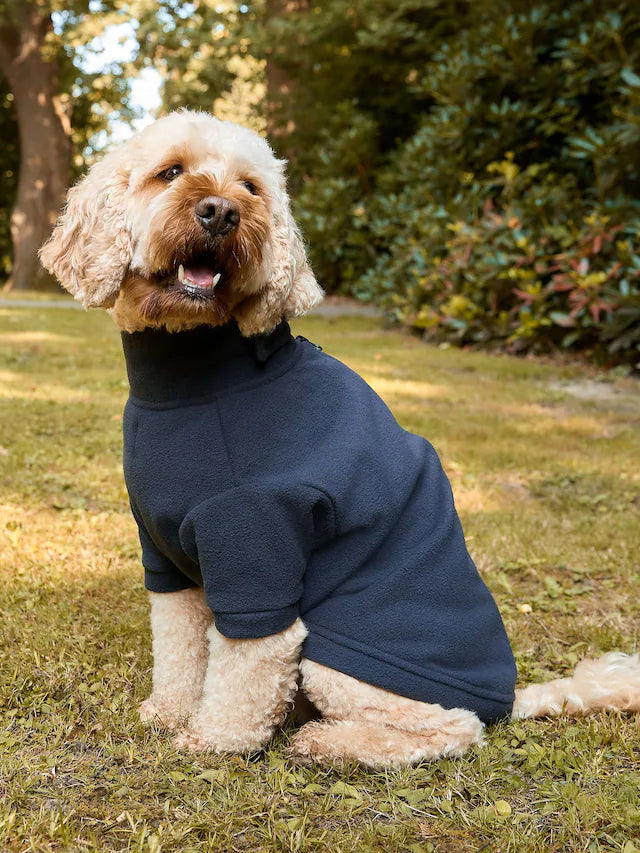 Polar Köpek Kıyafeti