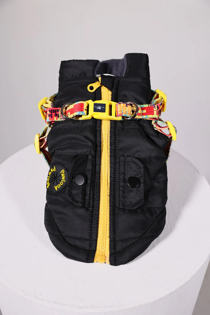 Pawlook Design Göğüs Tasmalı Köpek Montu