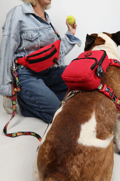 Pawlook Design Handsfree Gezdirme Kayışı & Yandan Çanta