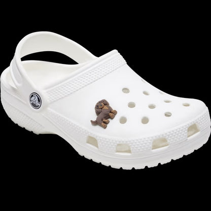 Crocs Jibbitz Charms