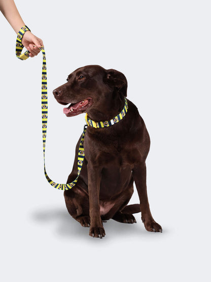 Fenerbahçe Lisanslı & Logolu Köpek Boyun Tasması