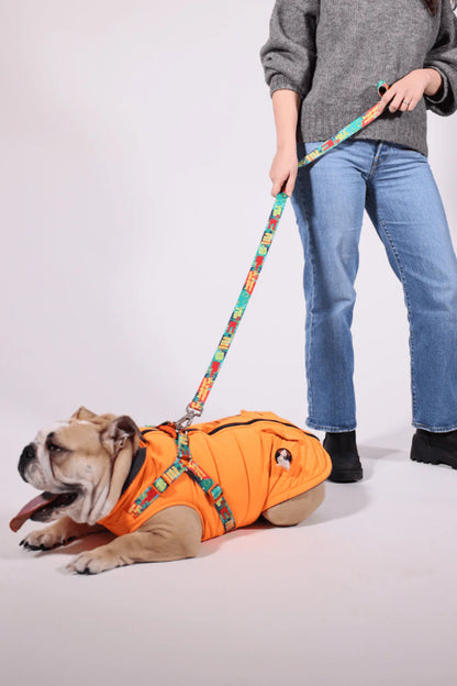 Pawlook Design Göğüs Tasmalı Köpek Montu