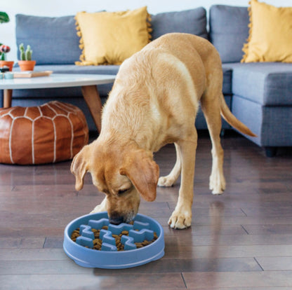 Outward Hound Yavaş Yeme Mama Kapları