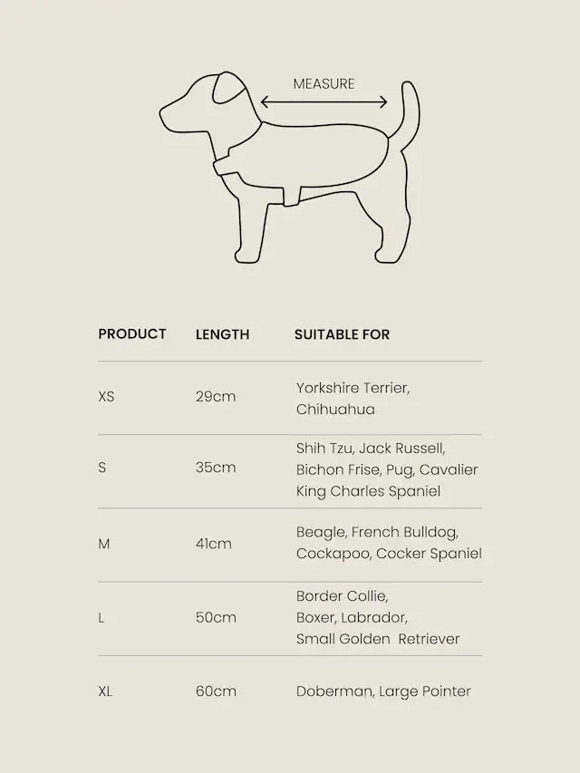 Polar Köpek Kıyafeti