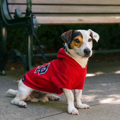 GAP Dog Hoodie Blue 