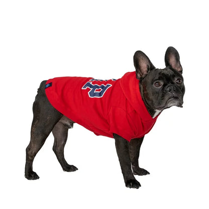 GAP Dog Hoodie Blue 