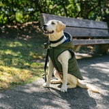 GAP Köpek Kapşonlu Ceket