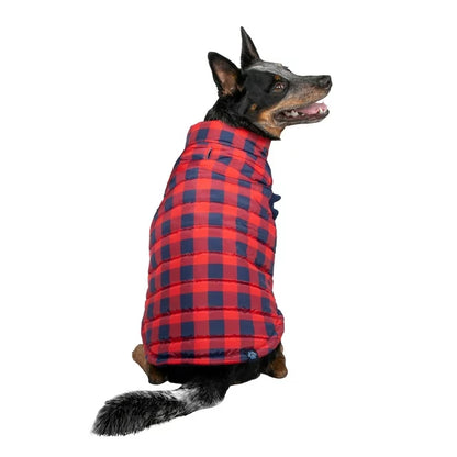 GAP Dog Puff Jacket