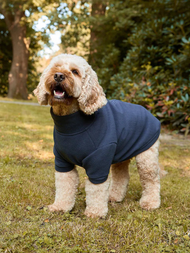 Polar Köpek Kıyafeti