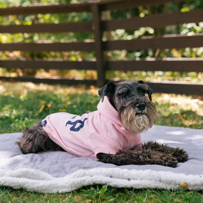 GAP Dog Hoodie Blue 