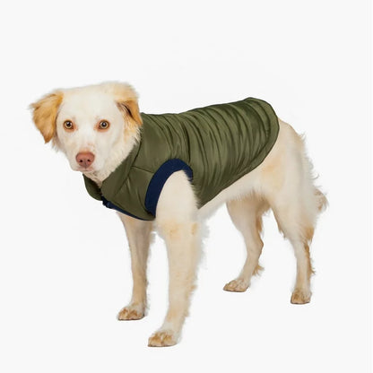 GAP Dog Puff Jacket